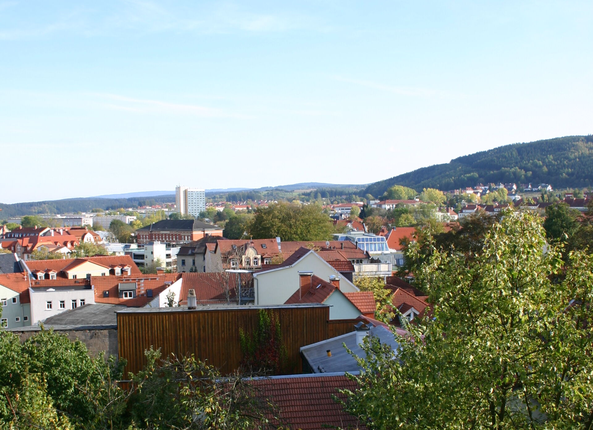 Blick über die Dächer von Ilmenau
